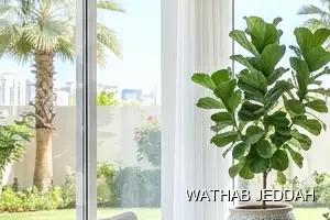 Apartment Cleaning results after completion in North Obhur, Jeddah