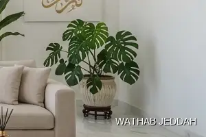Apartment Cleaning results after completion in Al Khalidiyah, Jeddah