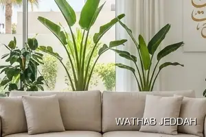 Apartment Cleaning results after completion in Al Safa, Jeddah