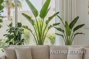 Wathab Jeddah team performing Apartment Cleaning in Mushrifah, Jeddah