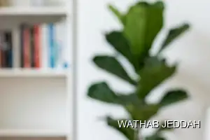 Wathab Jeddah team performing Ceramic & Porcelain Cleaning in Al Jamiah, Jeddah