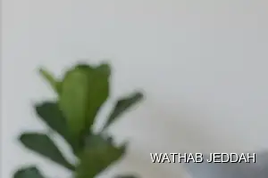 Wathab Jeddah team performing Ceramic & Porcelain Cleaning in Al Nazlah Al Sharqiyah, Jeddah
