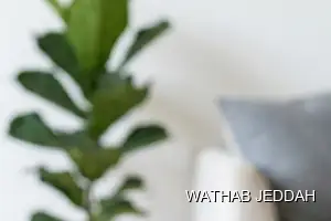 Wathab Jeddah team performing Ceramic & Porcelain Cleaning in Taybah, Jeddah