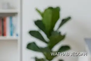 Wathab Jeddah team performing Deep Cleaning in Al Khalidiyah, Jeddah