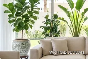 فريق وثاب جدة أثناء تنظيف منازل في حي النزهة بجدة
