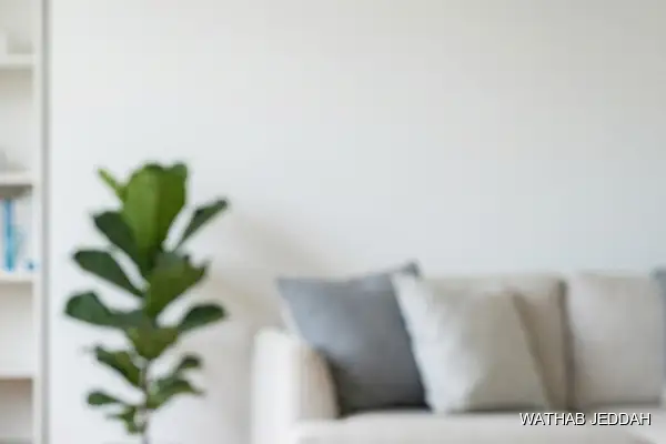 Home Sanitization in Al Rabwah - Wathab Jeddah Cleaning