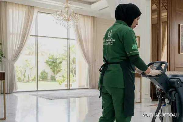 Palace Cleaning in North Obhur
