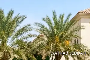 Wathab Jeddah team performing Swimming Pool Cleaning in North Prince Fawaz, Jeddah