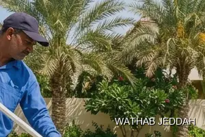 Swimming Pool Cleaning results after completion in Al Harazat, Jeddah