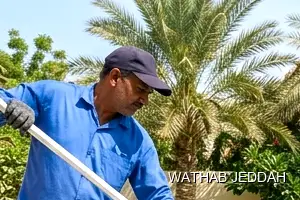 Wathab Jeddah team performing Swimming Pool Cleaning in Al Khalij, Jeddah