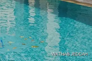 Swimming Pool Cleaning results after completion in Al Salhiyah, Jeddah