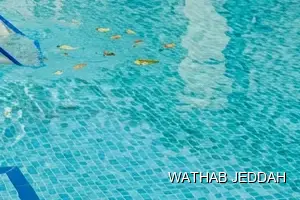 Swimming Pool Cleaning results after completion in Al Sanabil, Jeddah