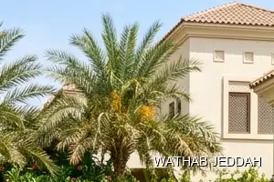 فريق وثاب جدة أثناء تنظيف المسابح في حي الشاطئ بجدة