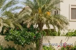 Swimming Pool Cleaning results after completion in Petromin, Jeddah