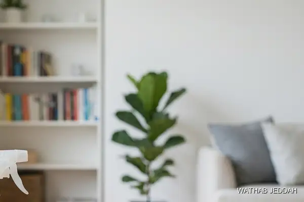 Post-Move Cleaning in South Obhur - Wathab Jeddah Cleaning