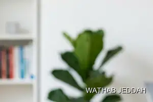 Wathab Jeddah team performing Post-Move Cleaning in Al Safa, Jeddah