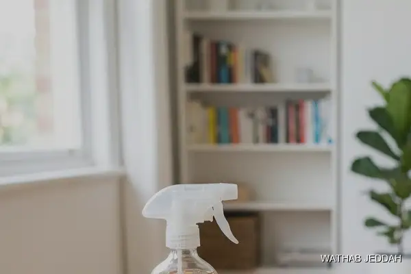 Pre-Move Cleaning in Al Lulu