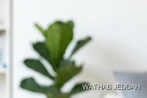 Wathab Jeddah team performing Pre-Move Cleaning in Al Rabwah, Jeddah