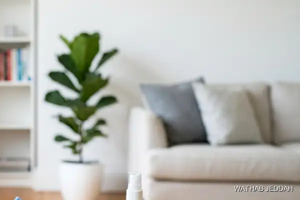 Pre-Move Cleaning in Al Salhiyah, Jeddah - Wathab Jeddah Cleaning Services