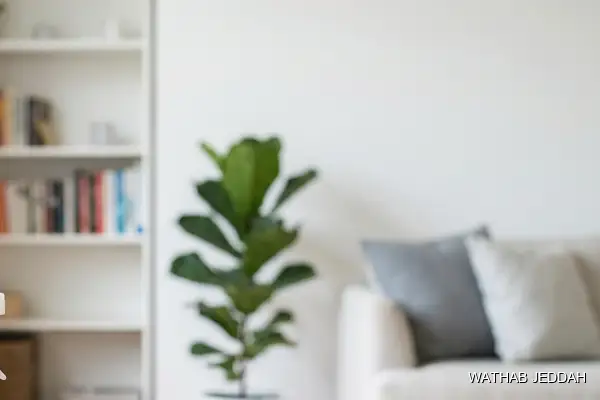 Stain & Odor Removal in Al Rahmaniyah, Jeddah - Wathab Jeddah Cleaning Services
