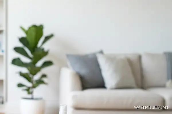 Stain & Odor Removal in Al Salhiyah - Wathab Jeddah