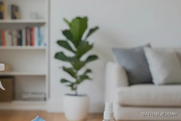 Stain & Odor Removal in Al Sharafiyah, Jeddah - Wathab Jeddah Cleaning Services