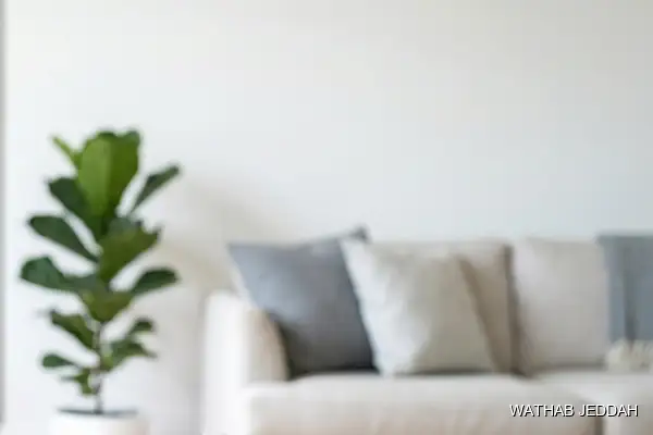 Steam Cleaning in Al Andalus, Jeddah - Wathab Jeddah Cleaning Services