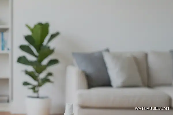 تنظيف بالبخار حي السنابل وثاب جدة